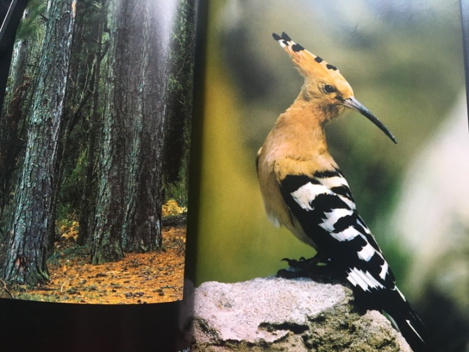 Album Natura województwa kujawsko -pomorskiego TANIO Prezent