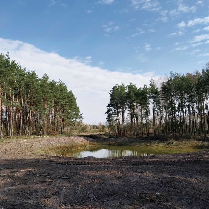 Działka Zelgoszcz Bory Tucholskie Staw Las