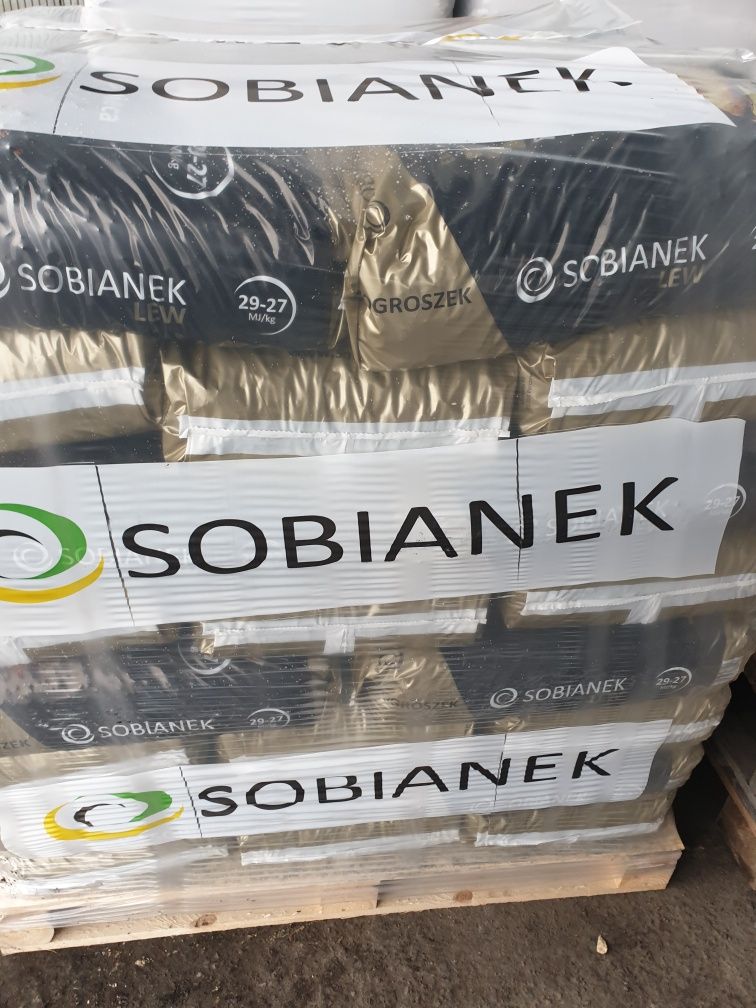 Ekogroszek Lew Sobianek