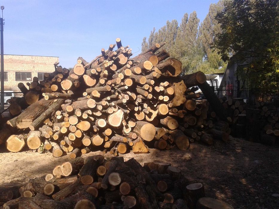 Продаємо дрова дубові,чурки метрівки,колоті і кругляк,колоди