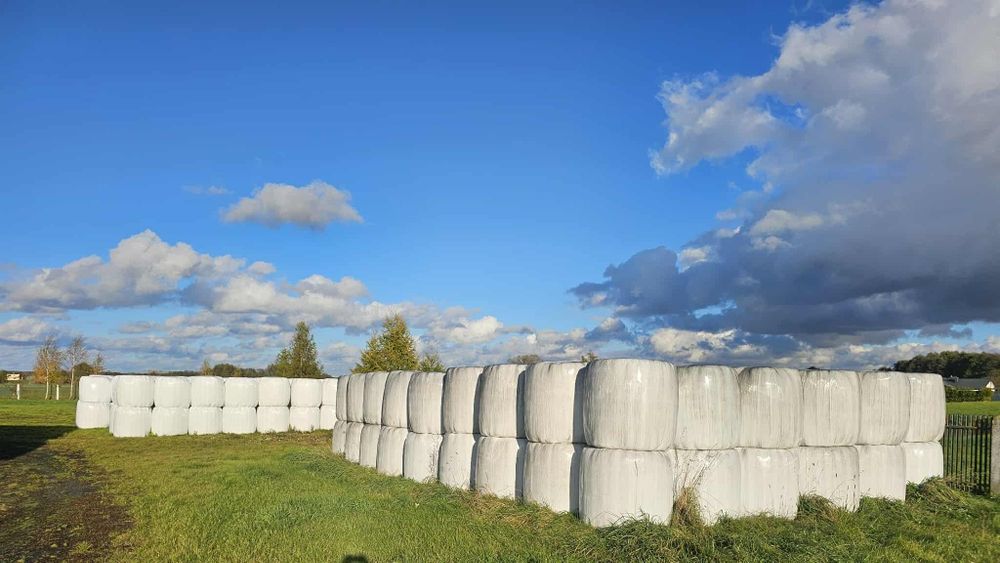 Baloty sianokiszonki