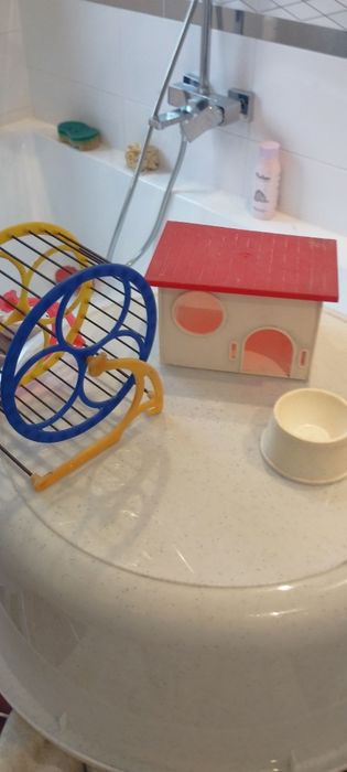 Zestaw chomik kólko domek