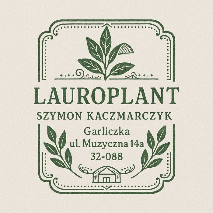 Głogownik Photinia Redrobin Multiplat 104szt