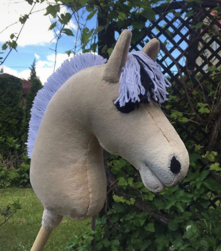 hobby horse fiord
