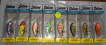 Woblery salmo hornet 4f