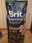 Сухий корм для собак з куркою Brit Premium Adult XL Dogs Chicken 15кг