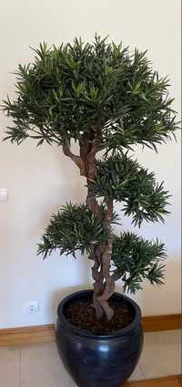 Planta Artificial - Podocarpus com Vaso decorativo