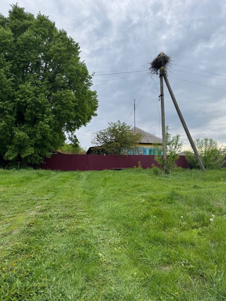 Продам будинок у селі Вʼязове, Сумська обл., Конотопський район