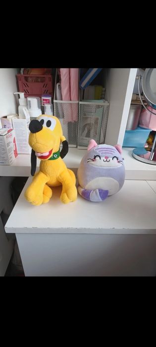 Misie zwierzęta kot i pies