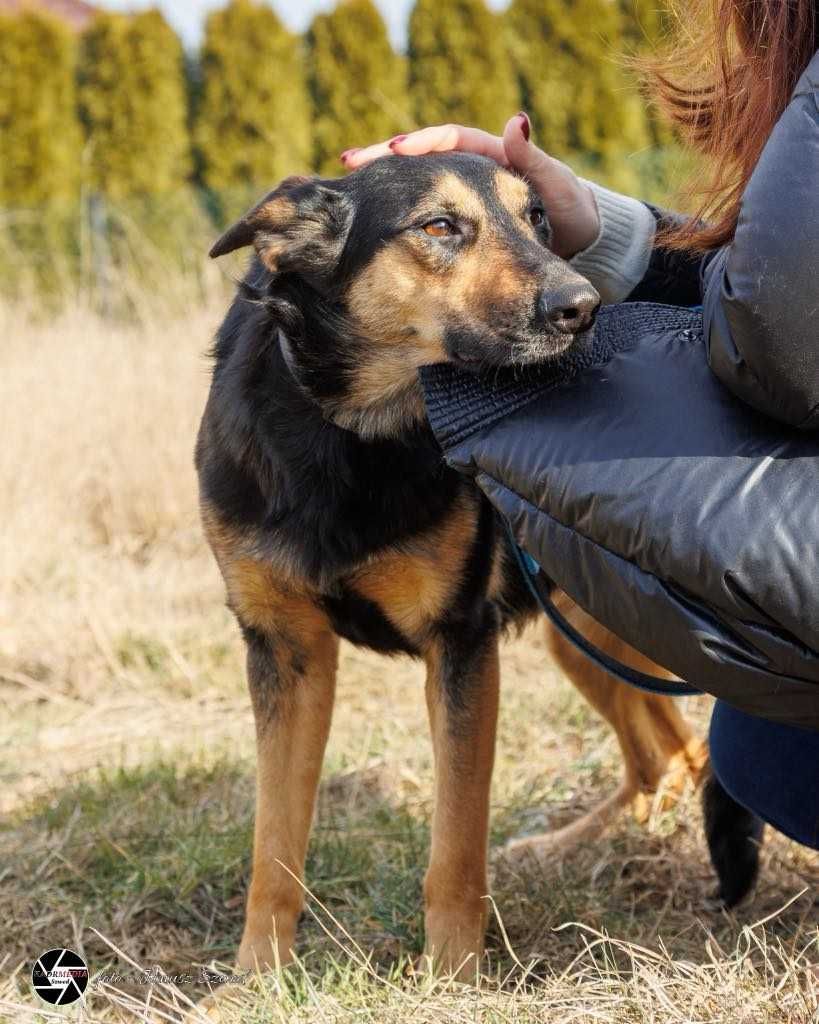 Przekochana Mika ma 2 lata i czeka na dom