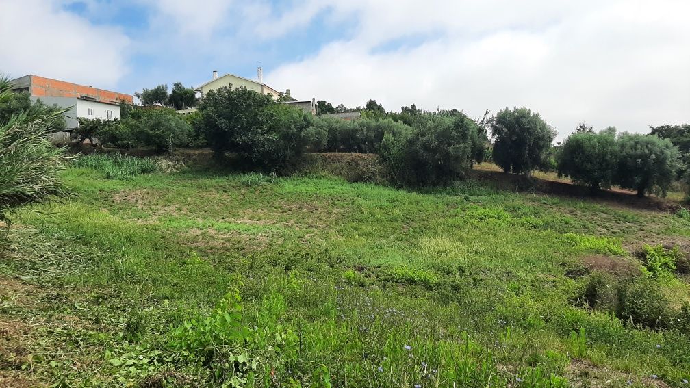 Terreno rustico p/ venda