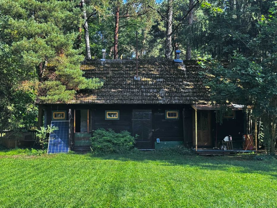 Dom całoroczny, drewniany, fotowoltaika. Stare Budy koło Brańszczyka.