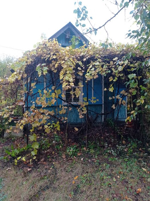 Дача на Ст. Подусовці під лісом. Ідеально для будівництва. 5 соток.