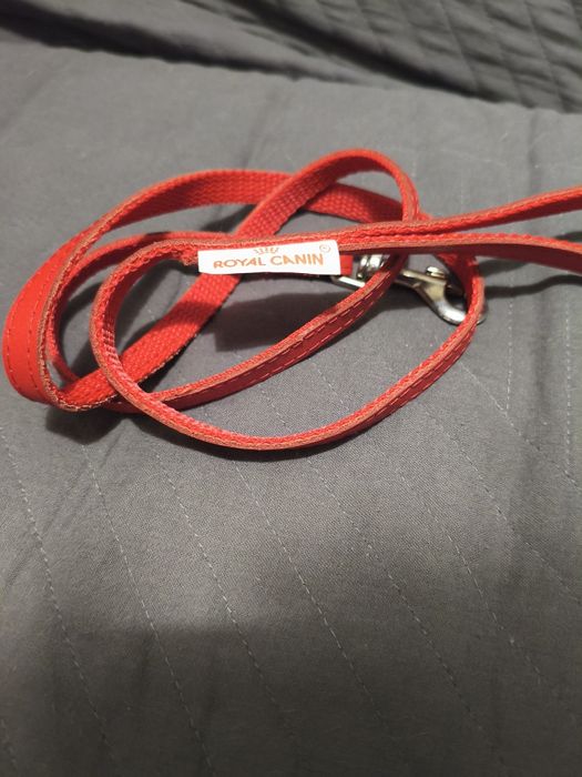 Smycz dla zwierząt Royal Canin.