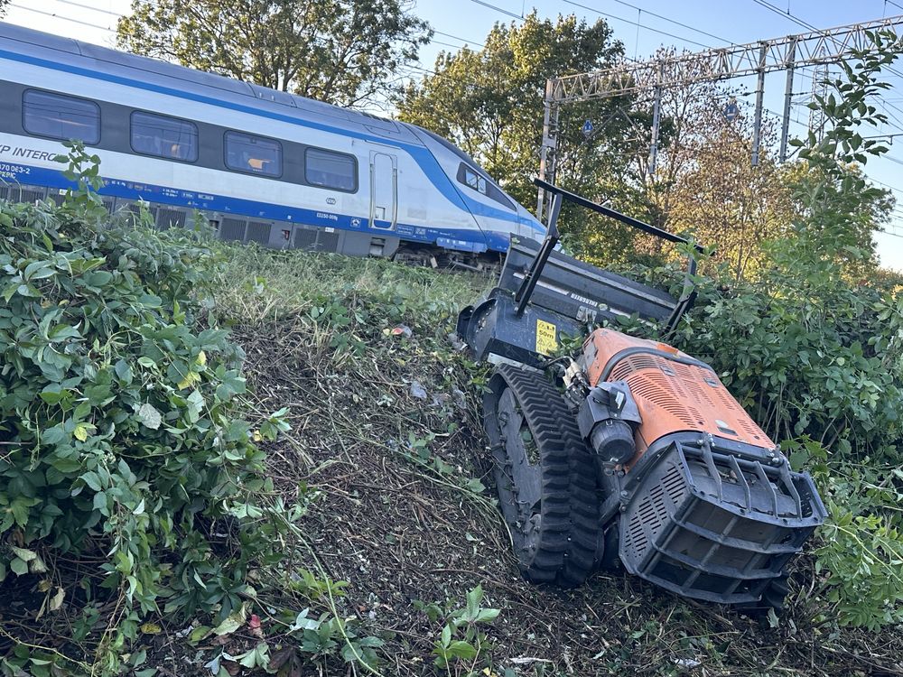 Mulczowanie karczowanie wycinka drzew zakrzaczeń