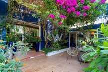 Majestoso Hotel Com Jardim Tropical