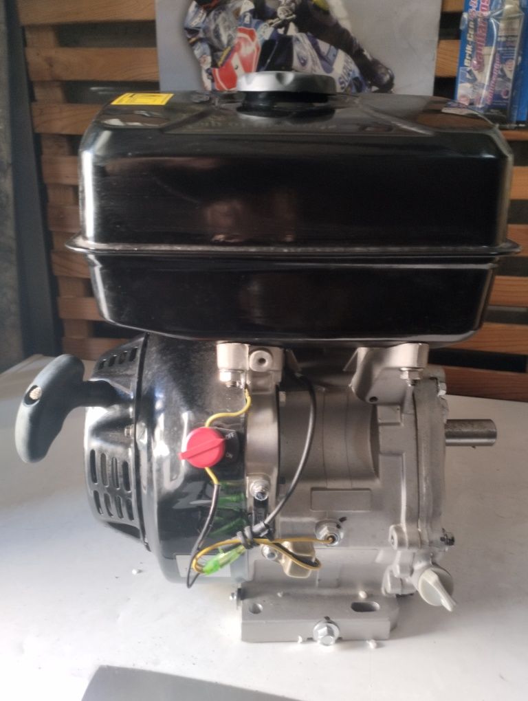 Motor de 9 HP novo