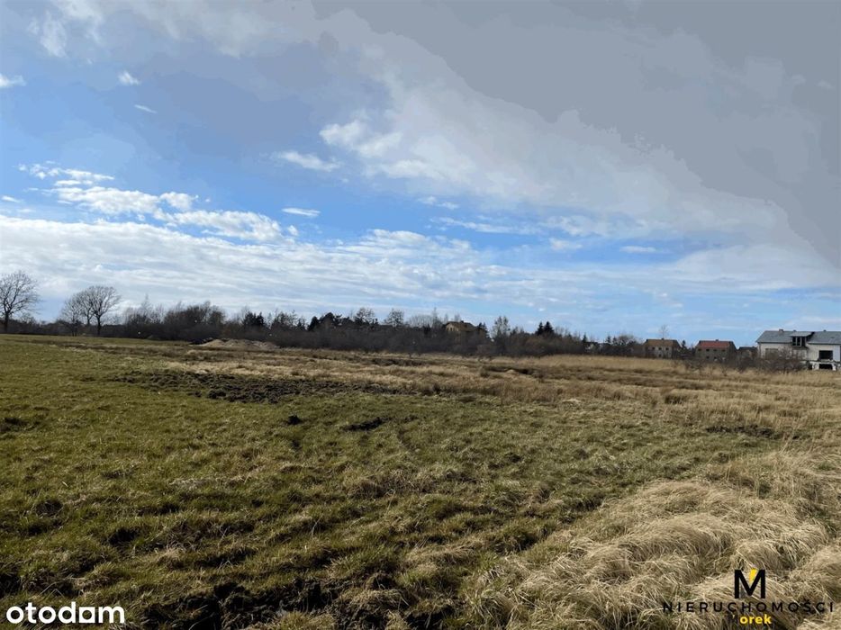 Działka rolna pod agroturystykę w Grzybowie