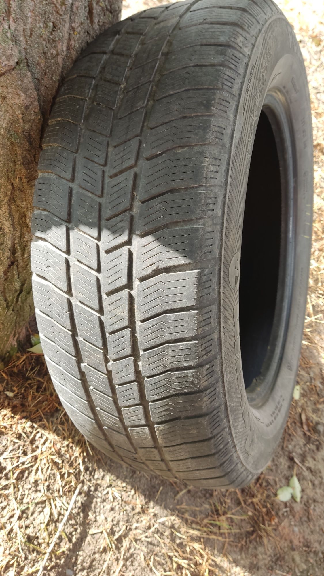 225/65r17 зимня, зима