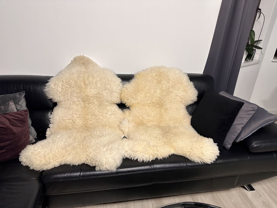 Skóry Owcze nowe …