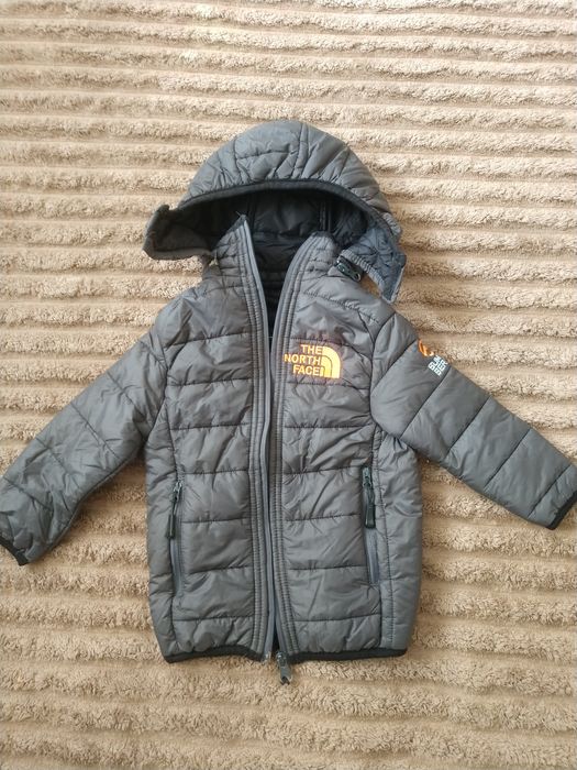 Куртка на осінь дитяча THE NORTH FACE