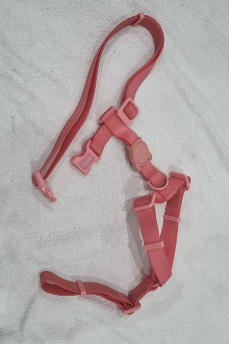 Trela para Gato resistente