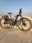 Bicicleta GIANT Elétrica