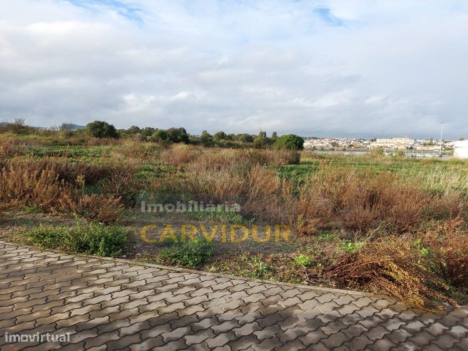Lotes de Terreno em Parque Industrial (SAPEC BAY)