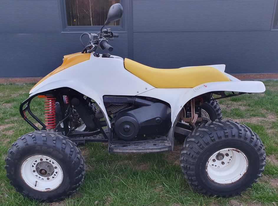 Quad Polaris trailblazer 250