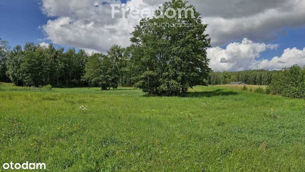 Działka z własnym stawem na Mazurach - 3769 m²