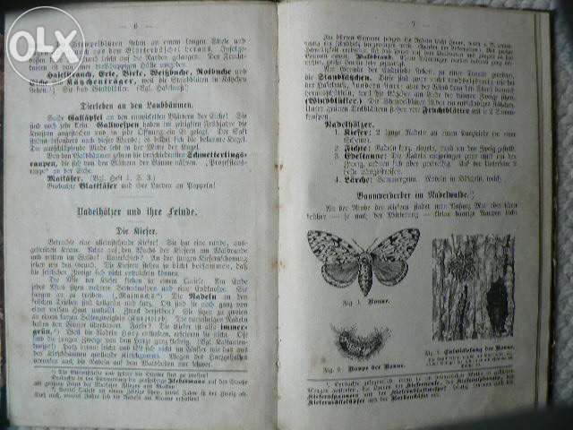 1895 DESSAU - LEIPZIG . ERDKUNDE - GEOGRAFIA szkoły dziewczęce .