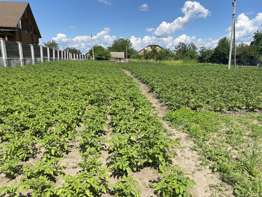 Продається будинок , в оренду не здається , тільки продаж