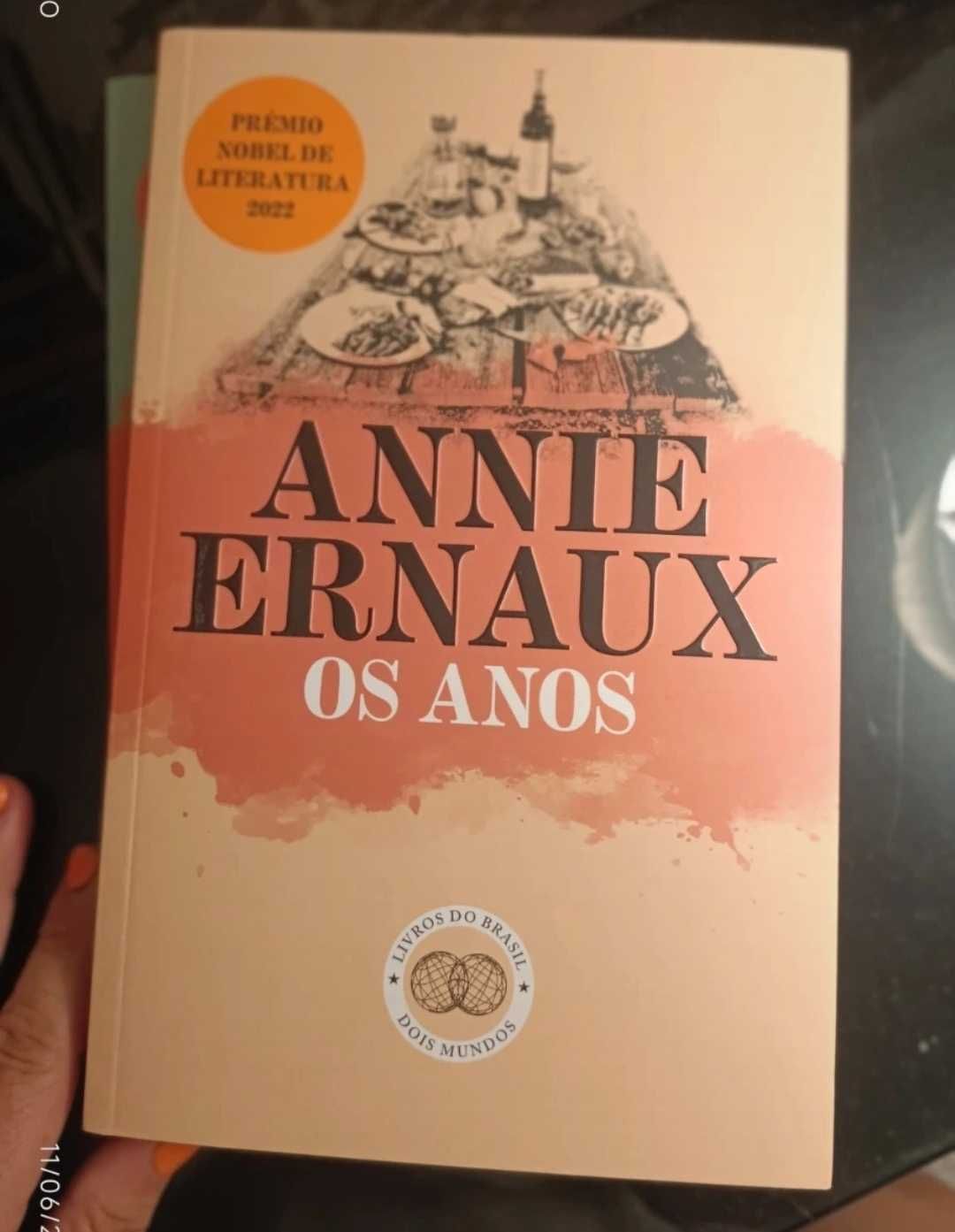 Annie Ernaux Os Anos (Novo)