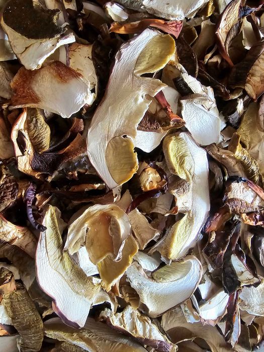 Borowik szlachetny, ATEST, Grzyby suszone od Grzyboznawcy, 100 gr