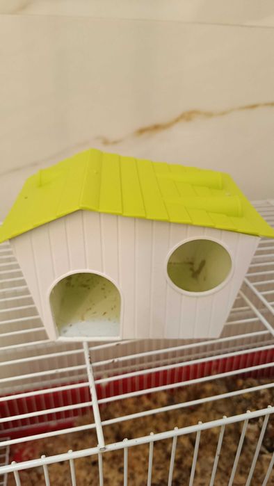 Casinha para hamster, bebedouro e brinquedo