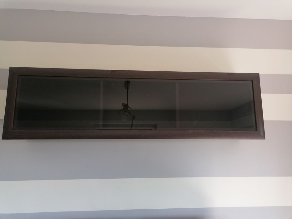 Witryna Koen kolor wenge