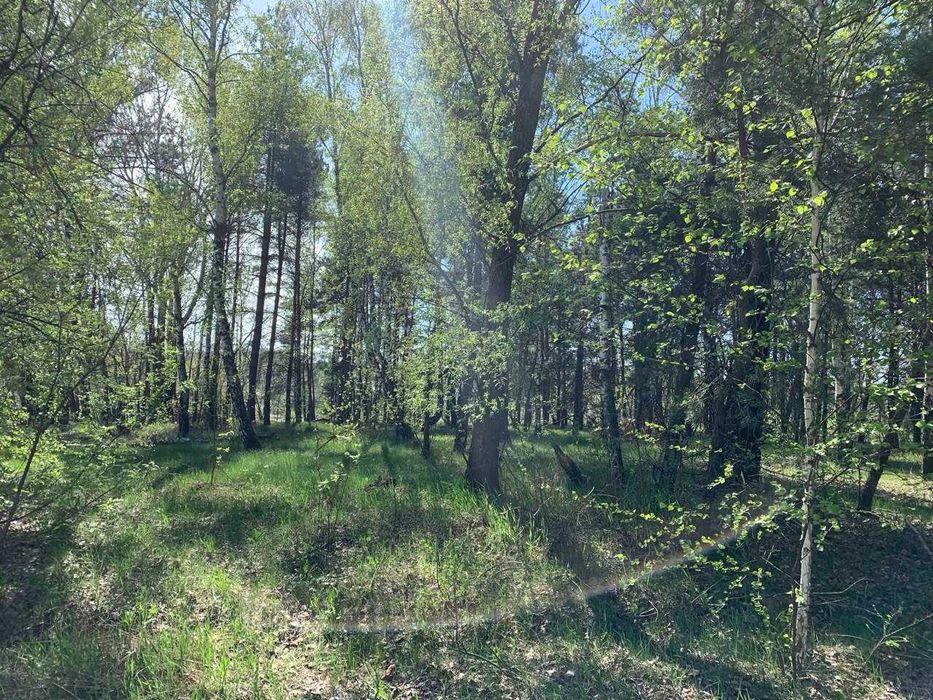 Земля під базу від починку біля озера в Лісовичах! Комунікації поруч