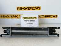 Radiador Intercooler Fiat Grande Punto (199_)