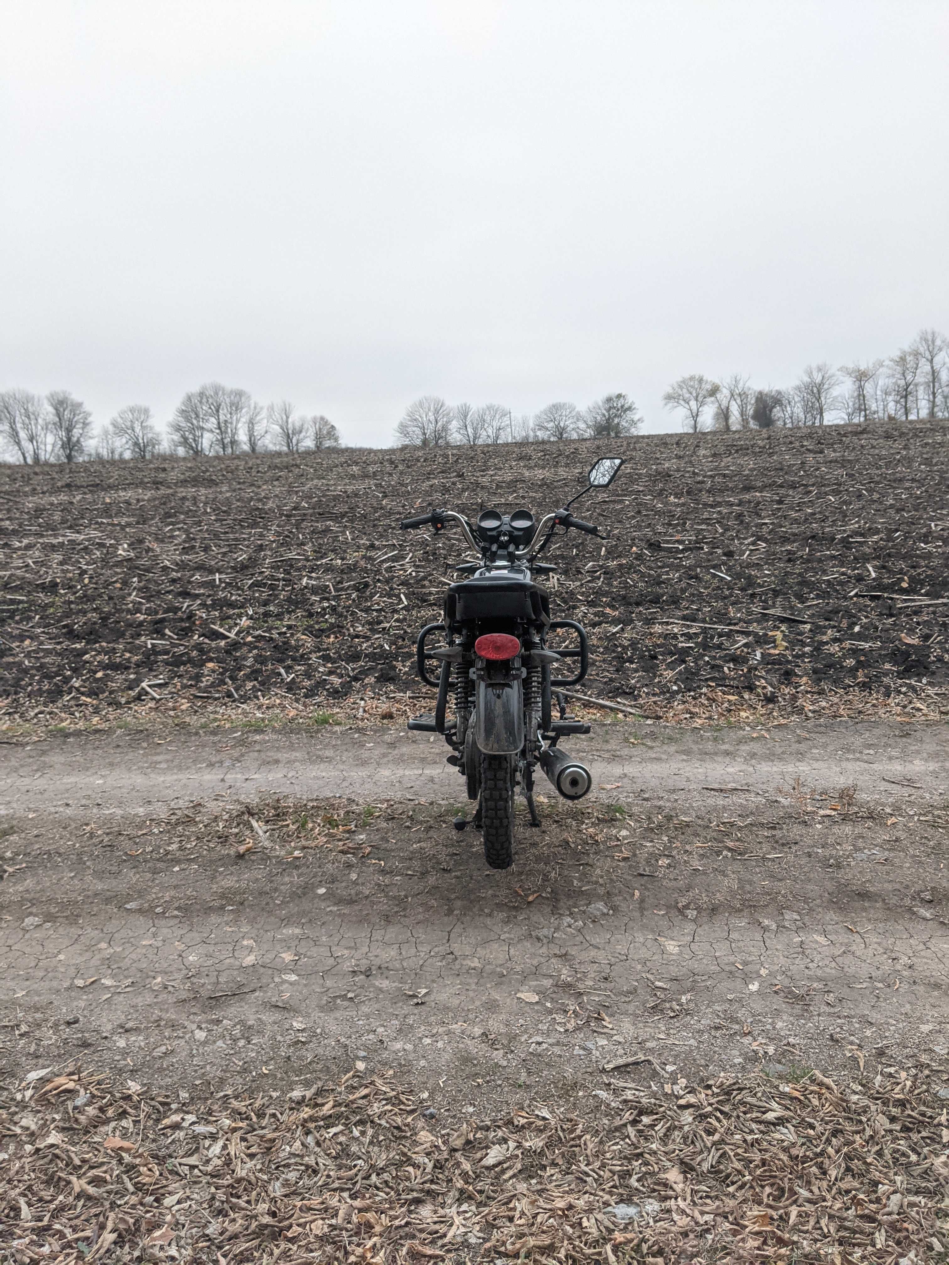 Мустанг фіт 125 Альфа