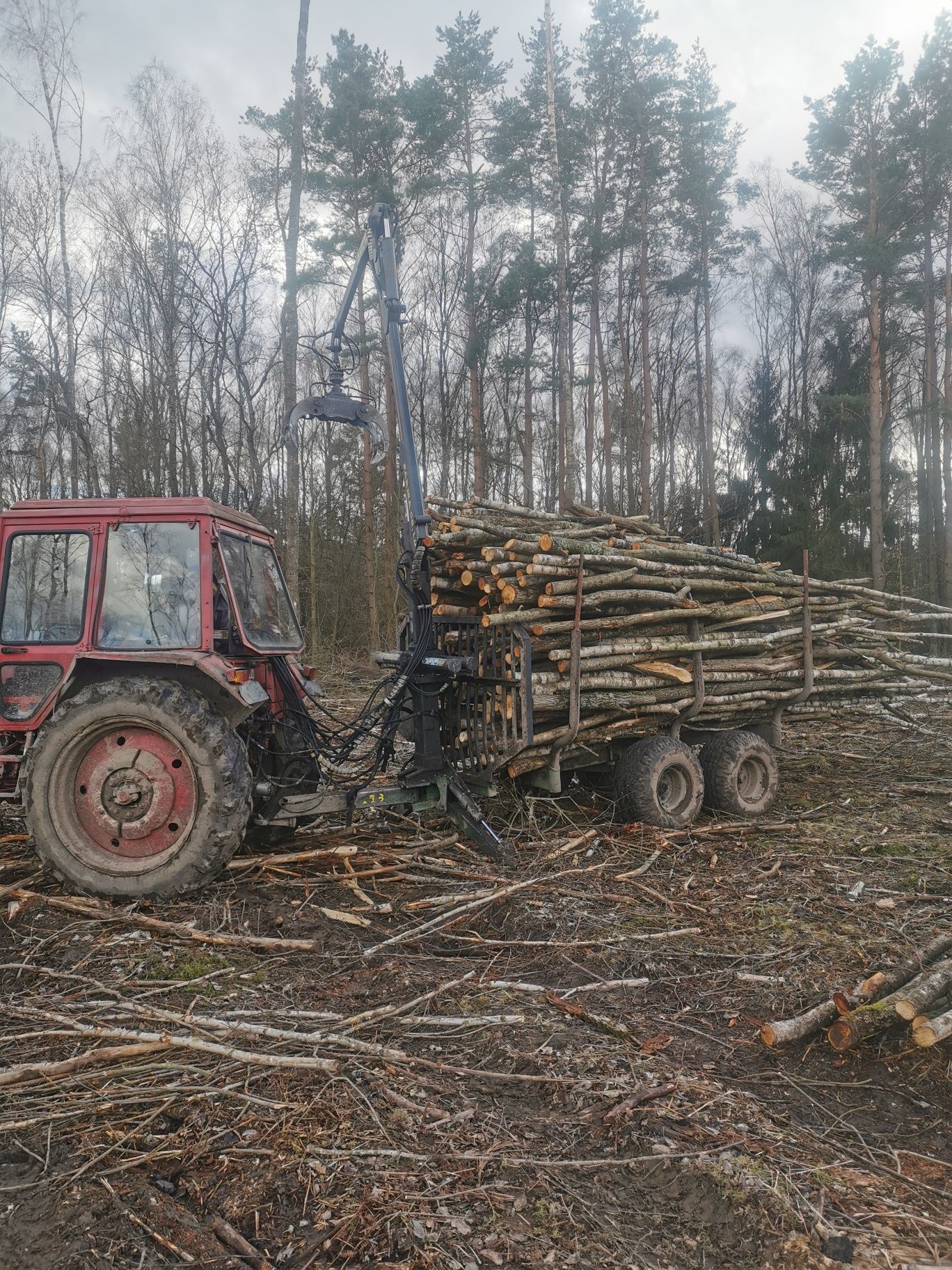 Sprzedam drewno opałowe