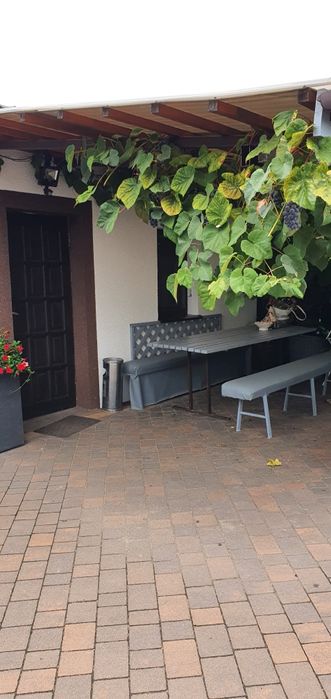 Kwatery 750 mies.05-124 SKRZESZEW Minimum 10 dni