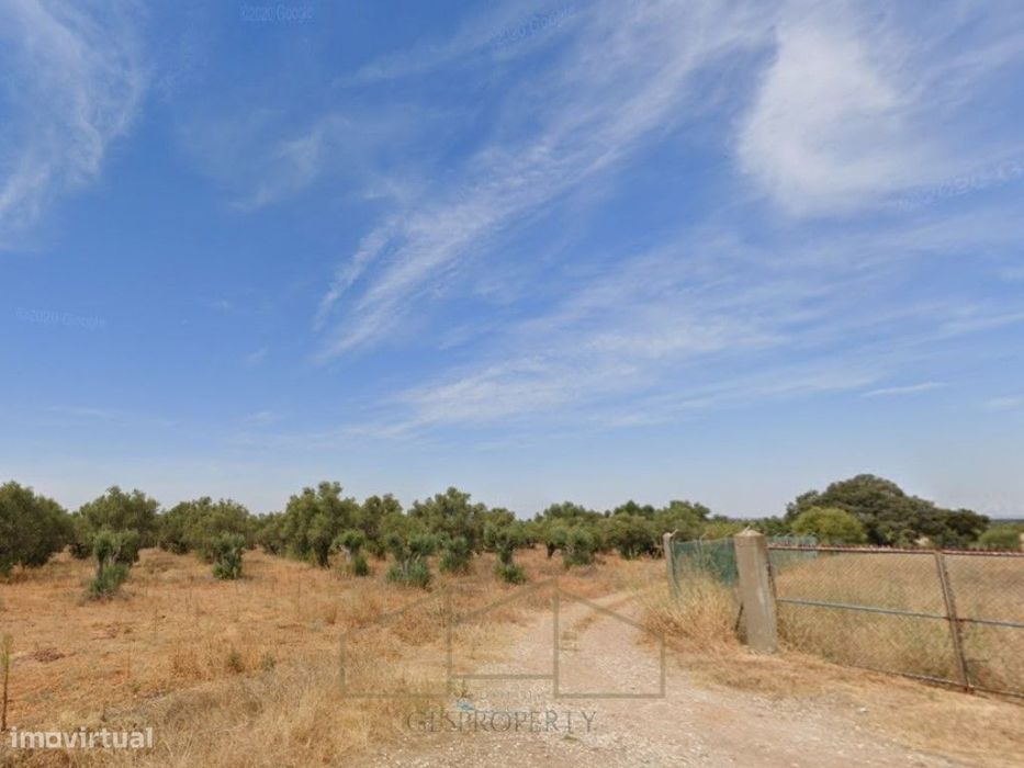 Terreno Rústico em Aldeias de Montoito
