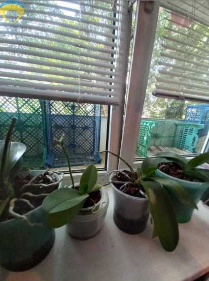 Продам  1-комнатную квартиру на Марсельской