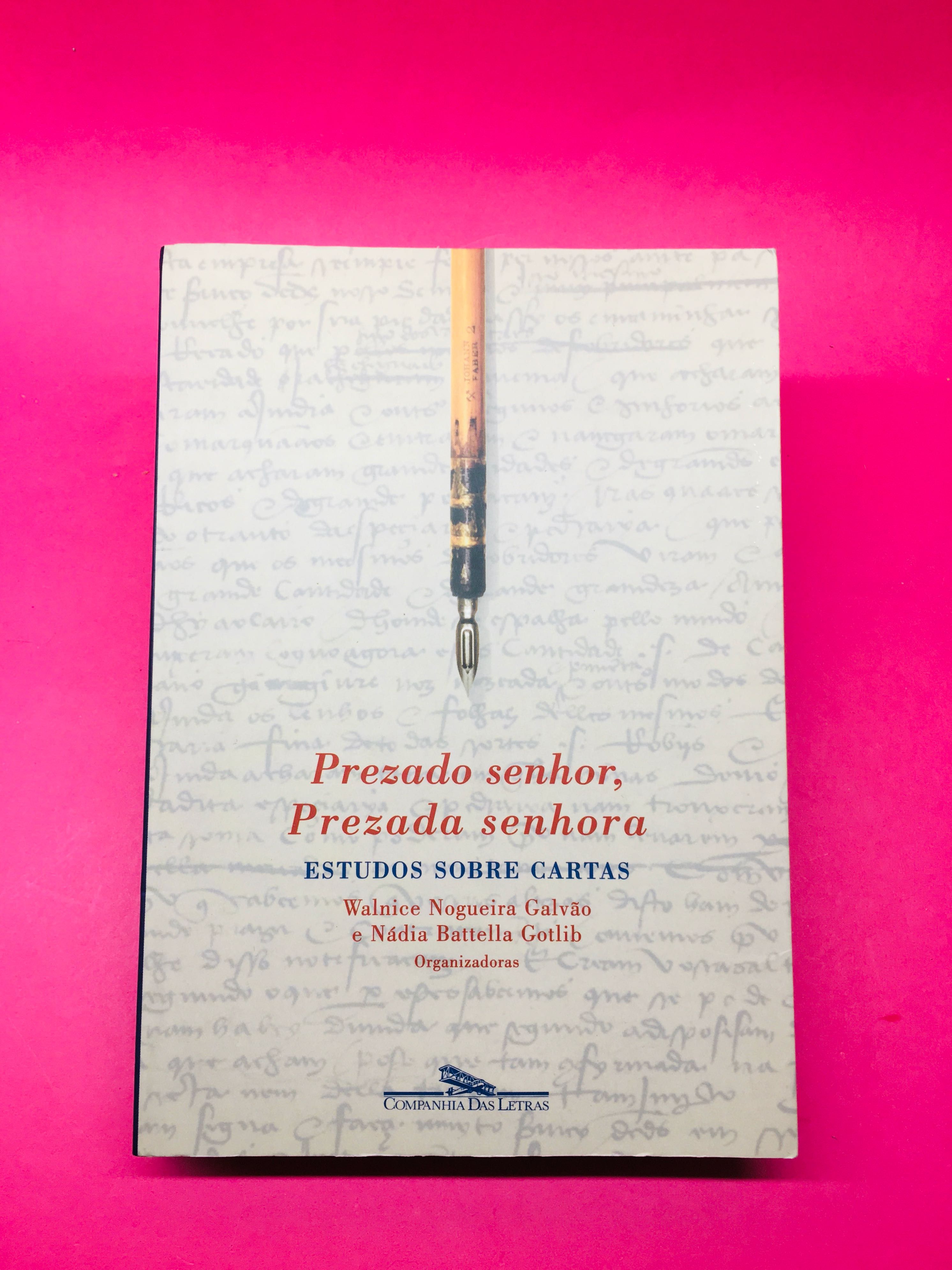 Prezado Senhor, Prezada Senhora - Walnice Galvão; Nádia Gotlib (RARO)