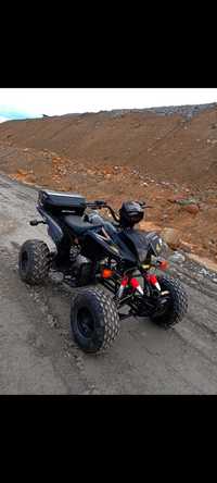 quad bashan 250cc