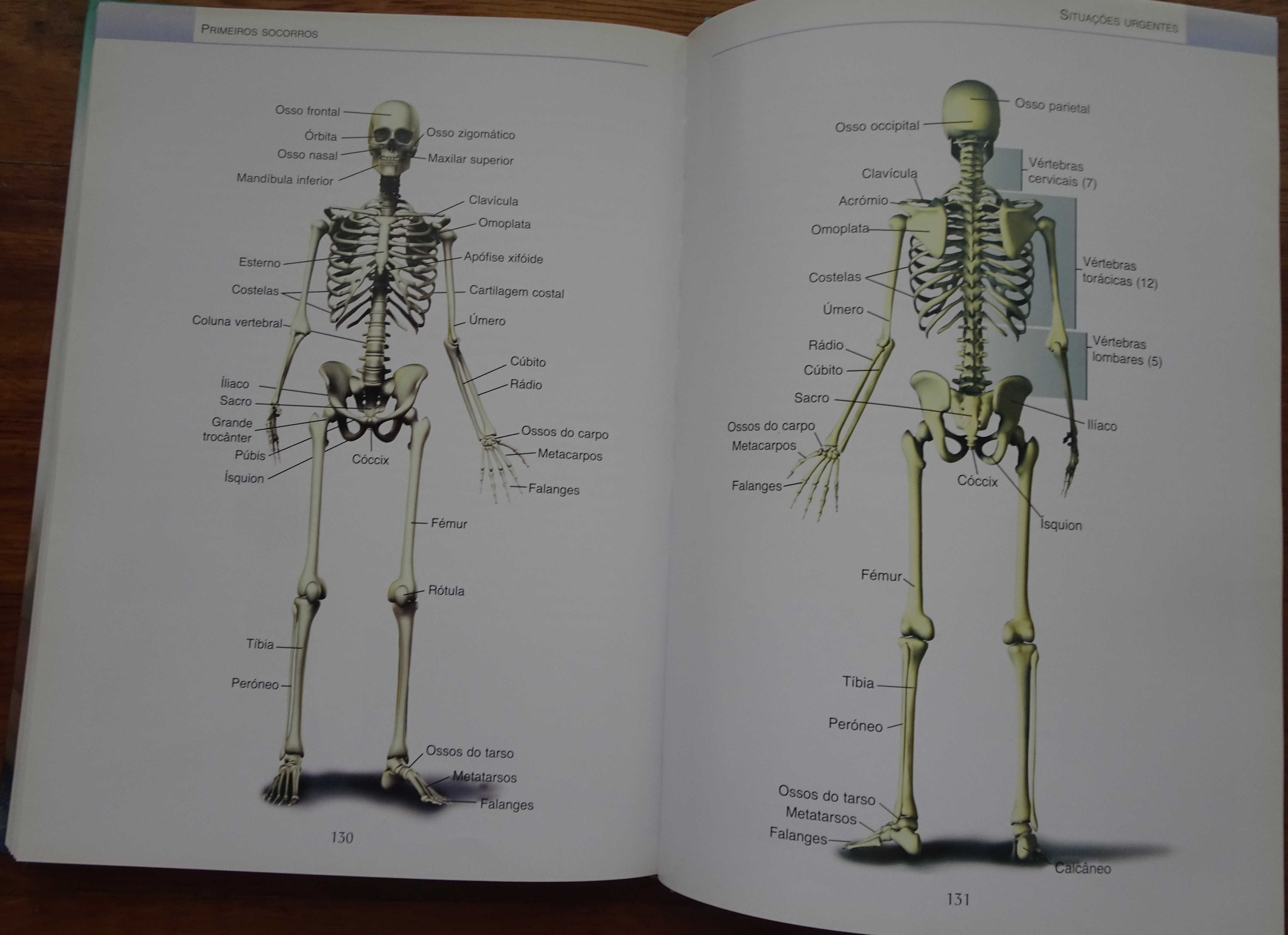Guia Médico e de Primeiros Socorros