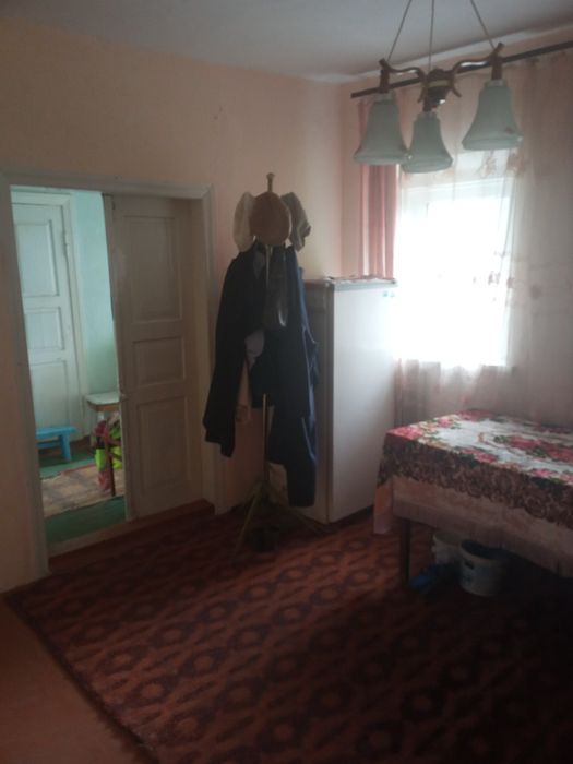 Продам будинок с. Флорине