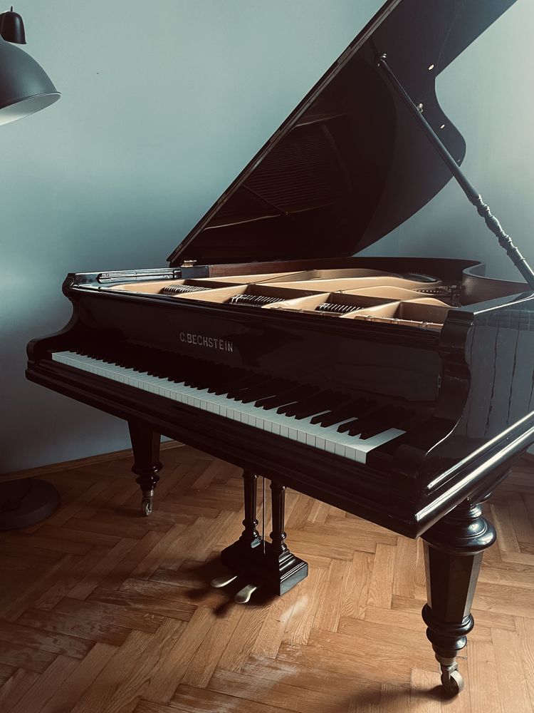 Fortepian C.BECHSTEIN Model B