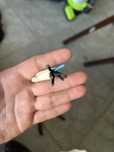 ok. 11 metrow kabla 7x1,5. Kabel