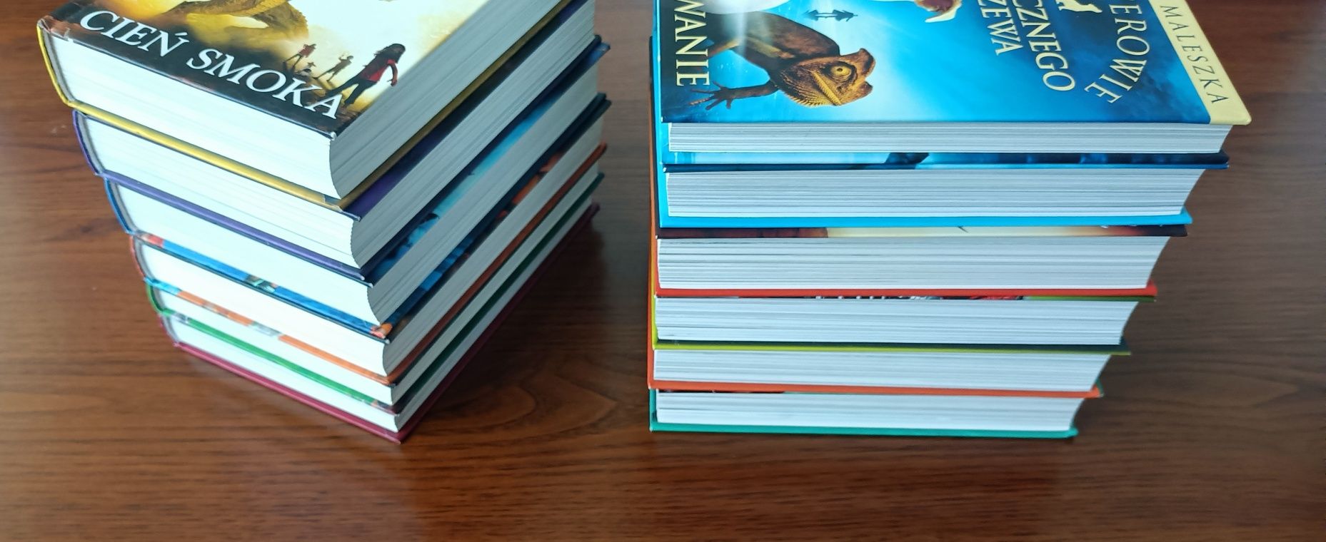 12 x Magiczne drzewo Wielka kolekcja